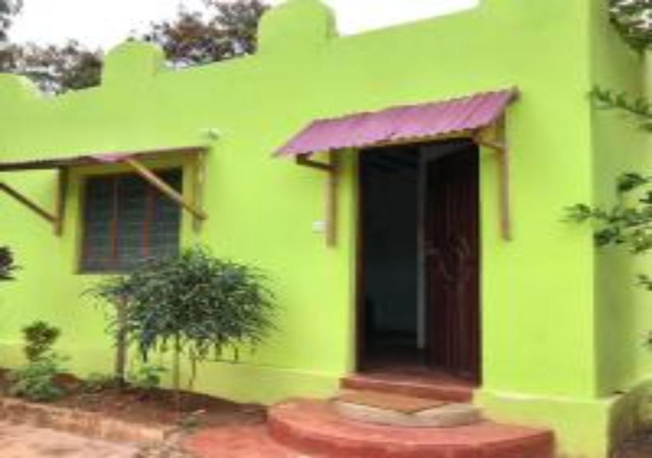Magharibi House Nungwi Exterior foto
